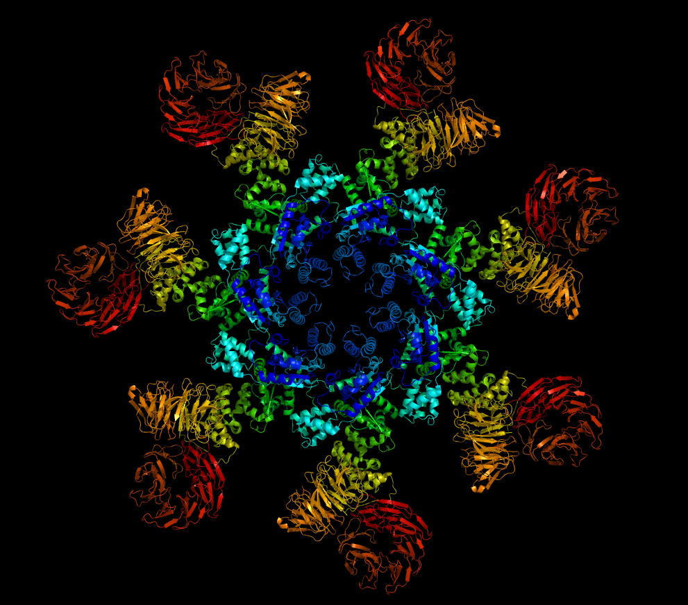 Risultati immagini per proteine scienza